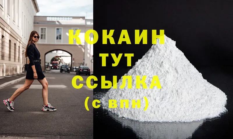 цена наркотик  Лодейное Поле  Cocaine FishScale 