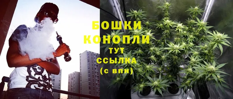 Бошки марихуана White Widow  Лодейное Поле 